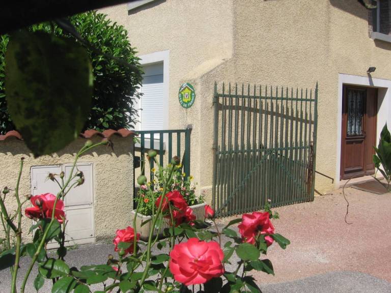 foto1