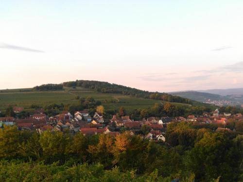 foto14