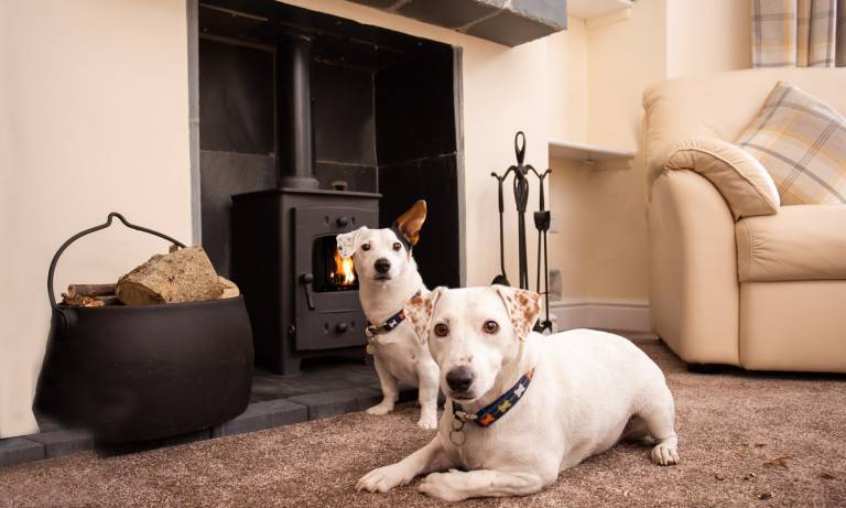 Children-friendly nice cottage | Dogs allowed in Keswick
