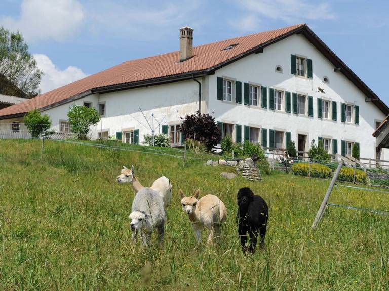 Ferienwohnung  Muriaux