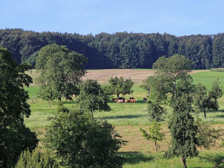 foto6