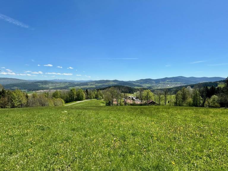 foto14