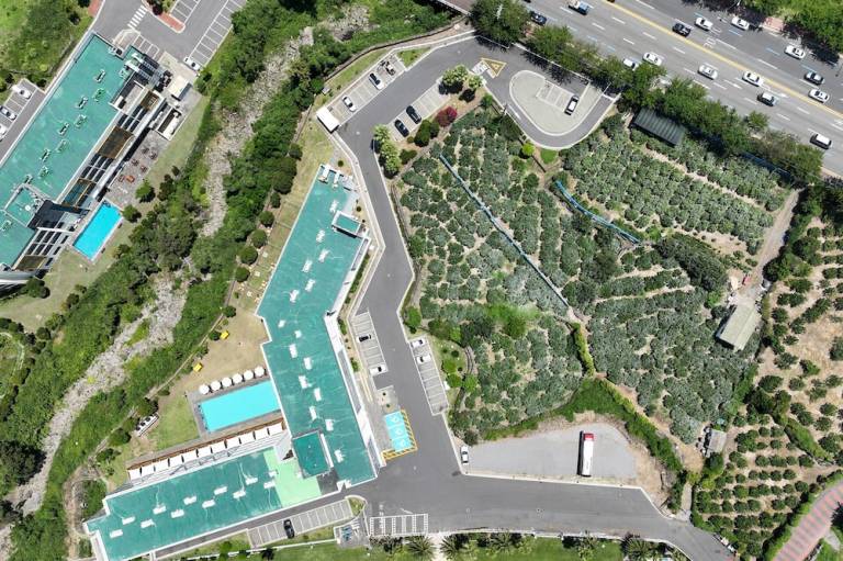 Shin Shin Hotel Jeju City