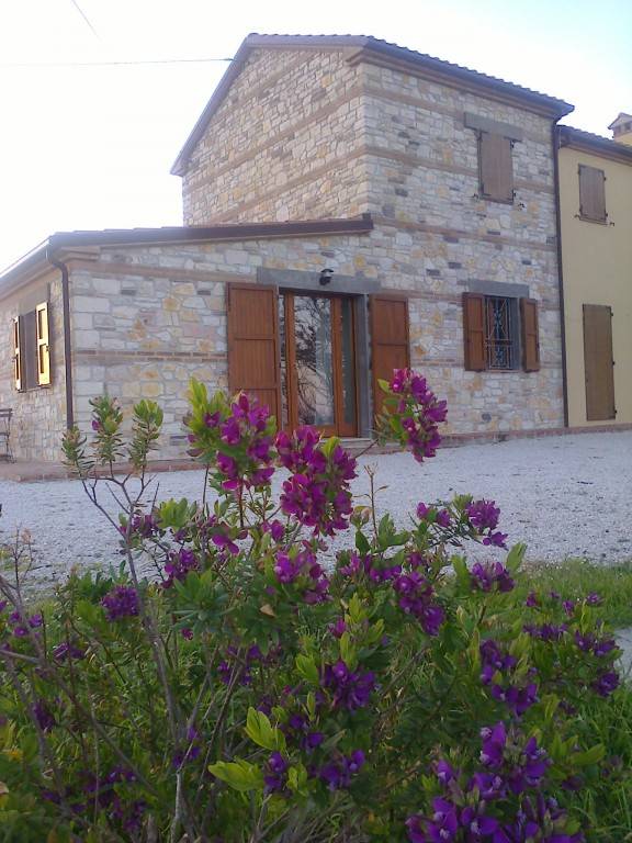 foto7