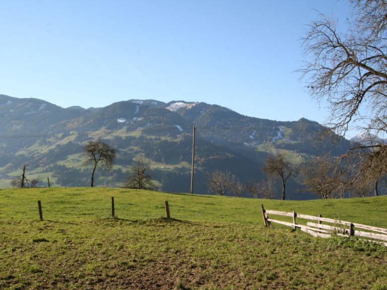 foto12
