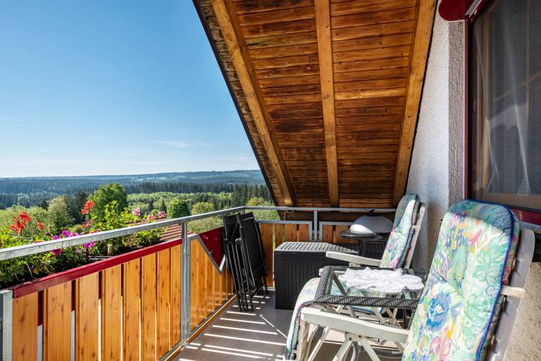 Holiday Apartment 'Wutach' with Mountain View, Shared Terrace and Wi-Fi — photo 2