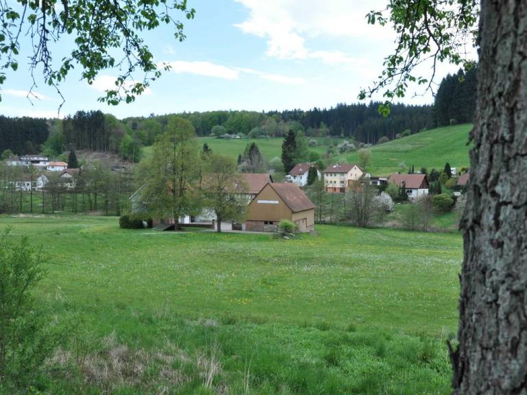 foto17