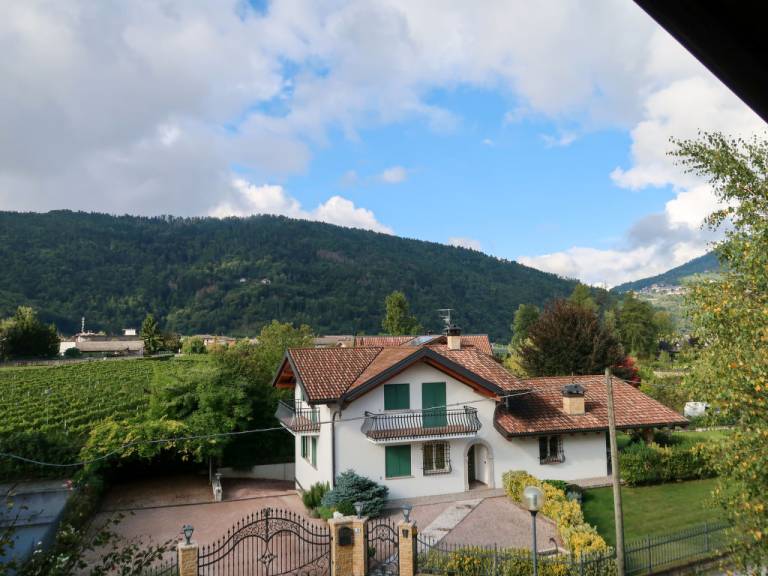 foto11