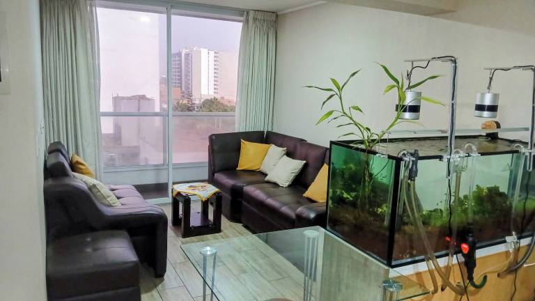 Apartment San Miguel