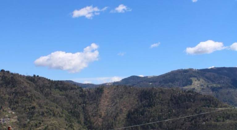 I profumi del bosco — photo 5