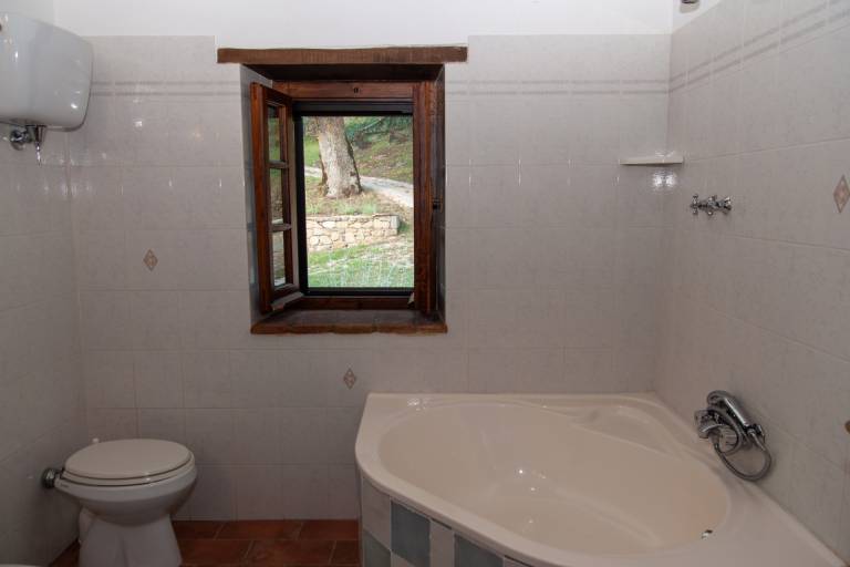 foto42