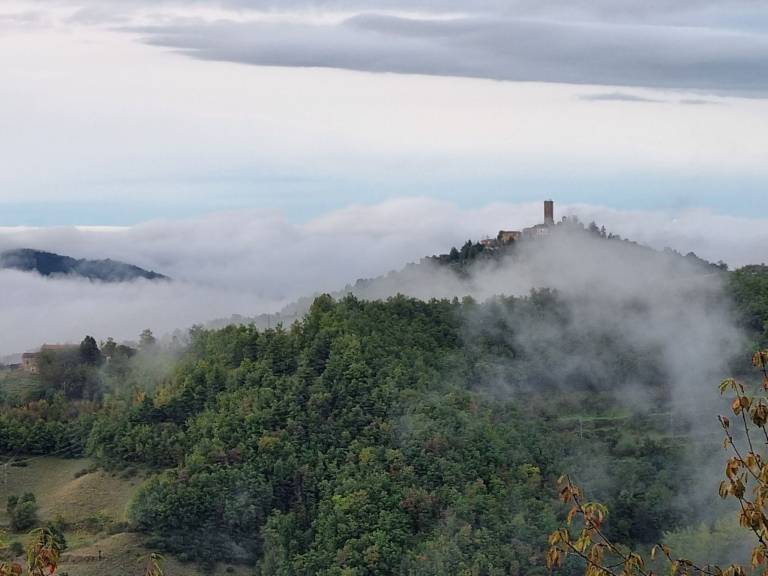 foto50