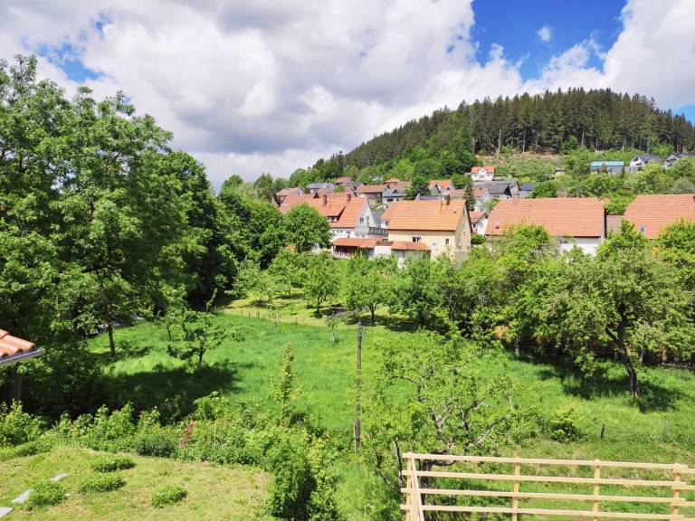 foto21