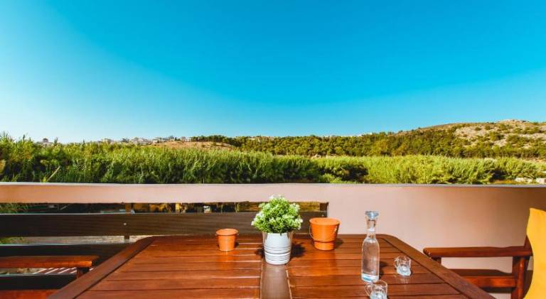 Apartment with terrace — photo 4