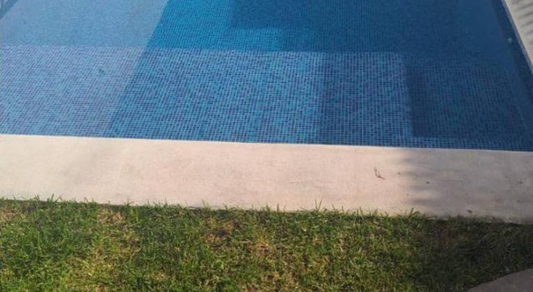 foto8
