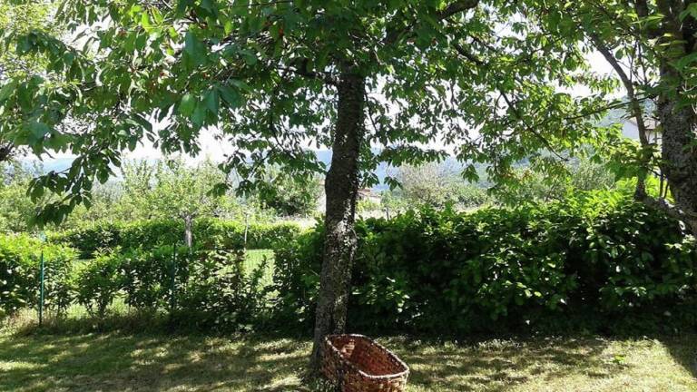 foto24