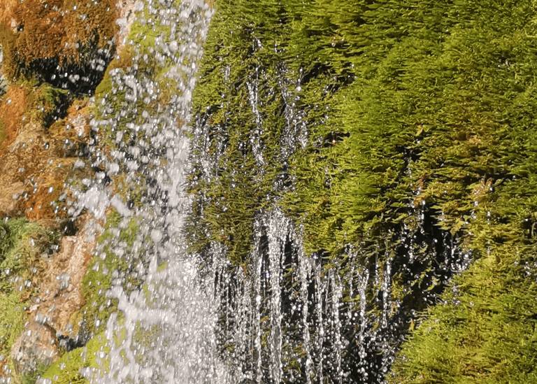 foto19