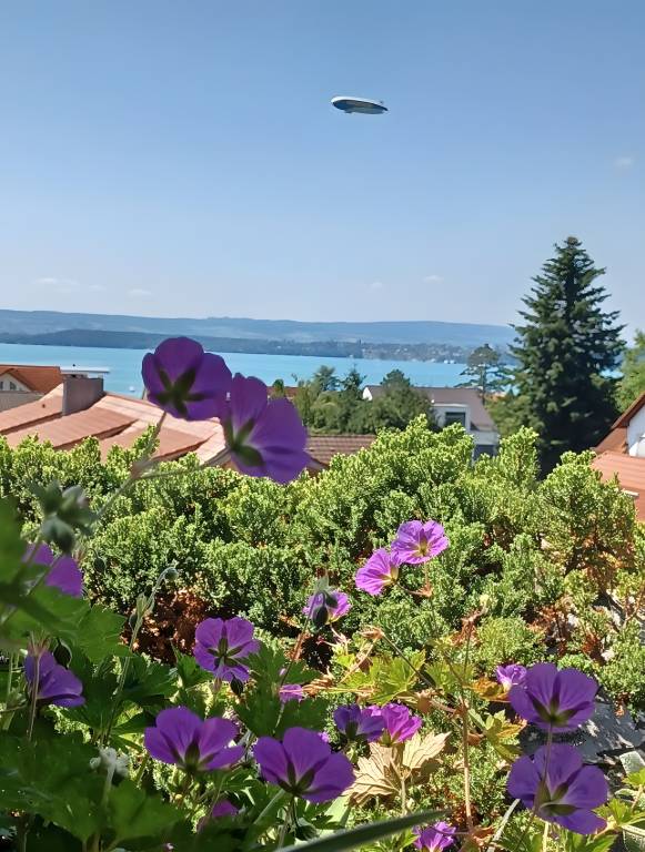 foto10