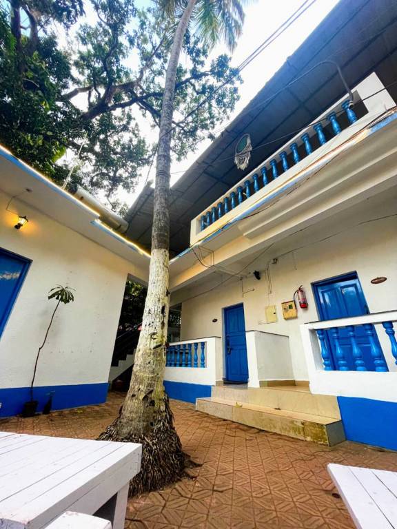 The Musafir — photo 5