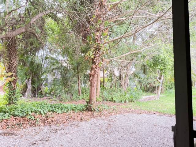 foto12