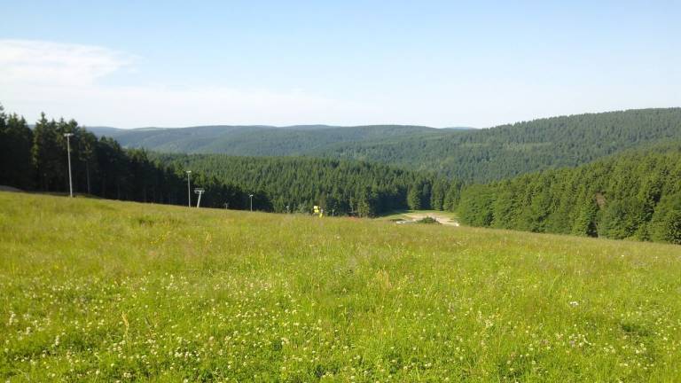 foto15