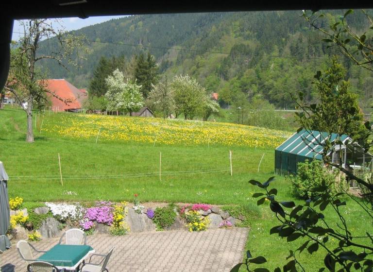 foto8