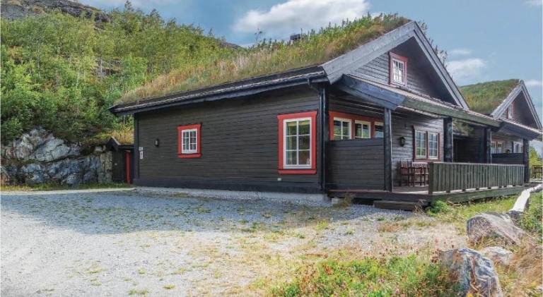 Lovely vacation home | Pets are welcome in Hemsedal