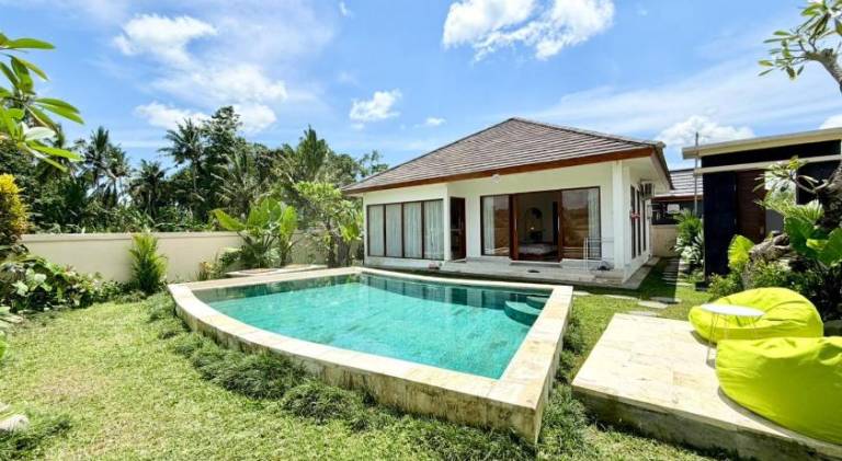 Villa with pool — photo 3