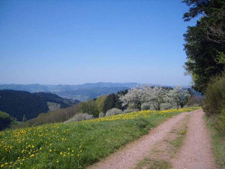 foto21