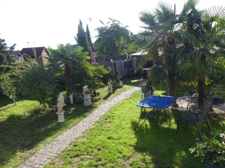 foto6
