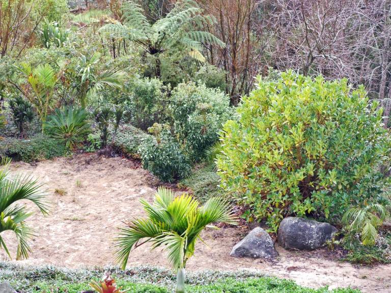 Camping  Te Arai