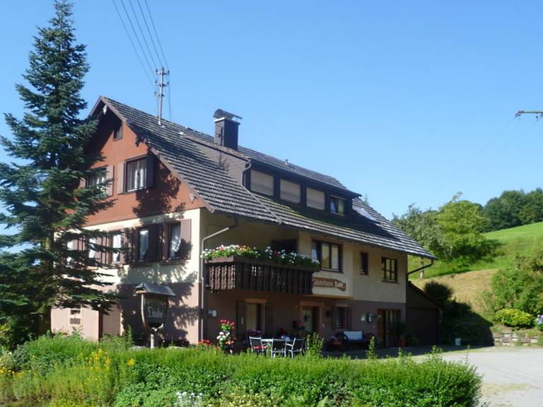 foto7
