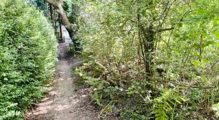 foto44