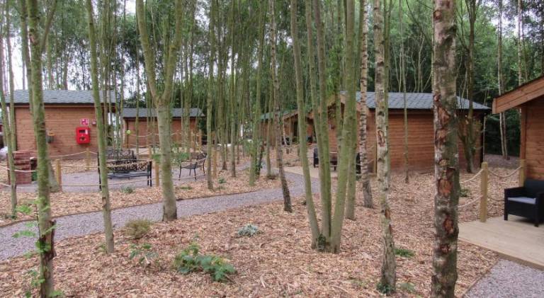 Riddings Wood lodges