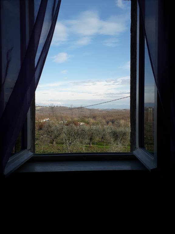 foto18