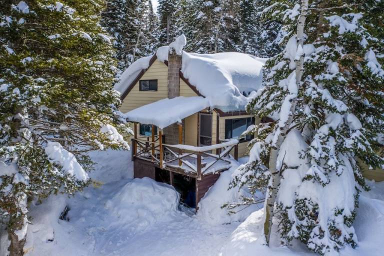 Cabin Park City