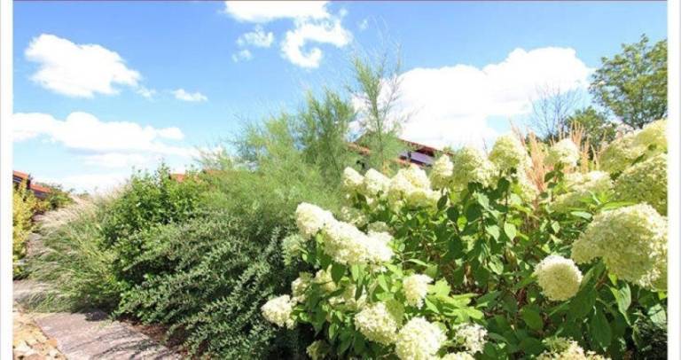 foto17