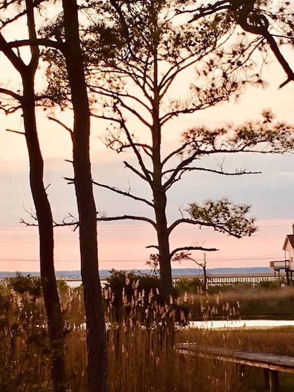 House Chincoteague Island