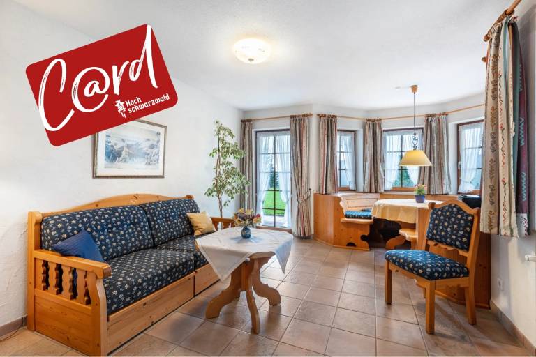 Nice holiday apartment with patio & yard | Garden view | Next to the ski | Pet-friendly in Feldberg
