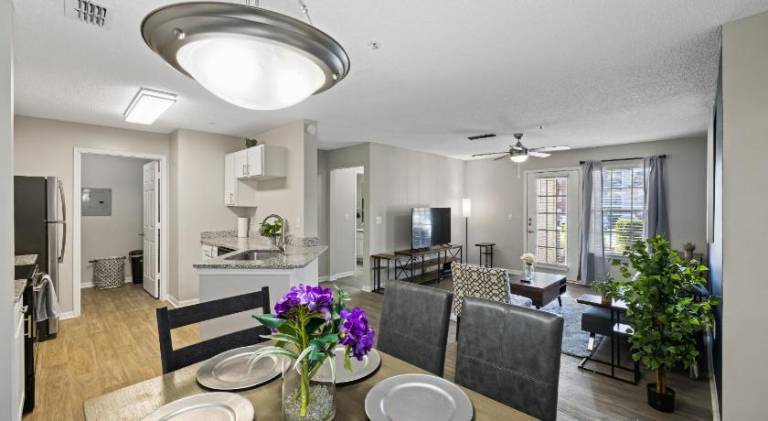 Lovely apartment | Dogs allowed — photo 3