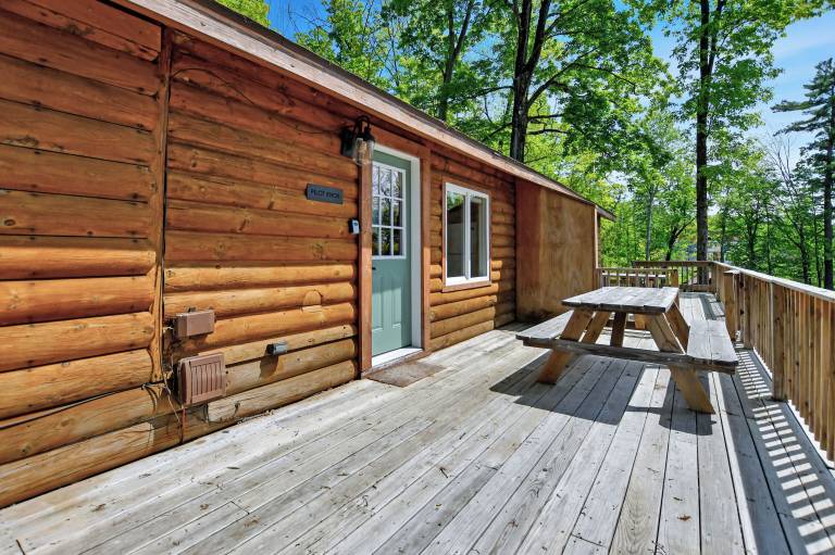 Cabin Lake George