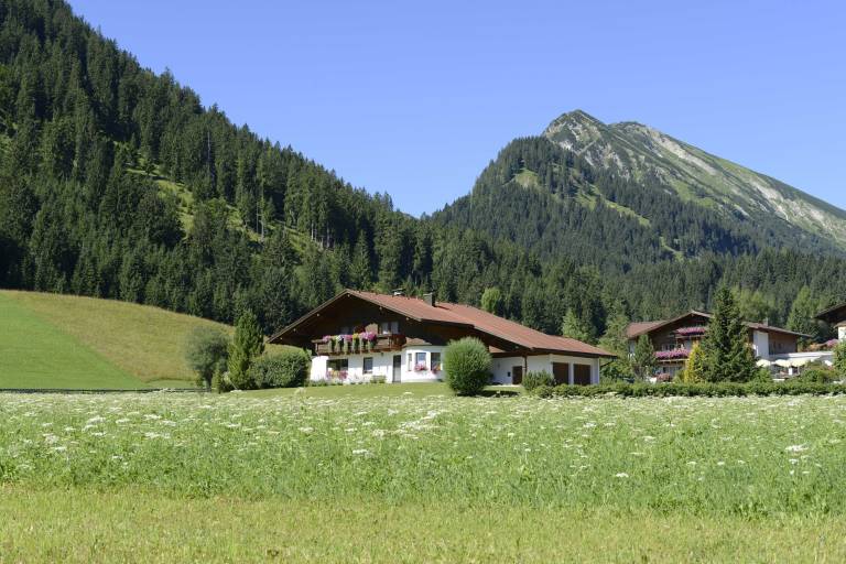 Ferienwohnung Tannheim