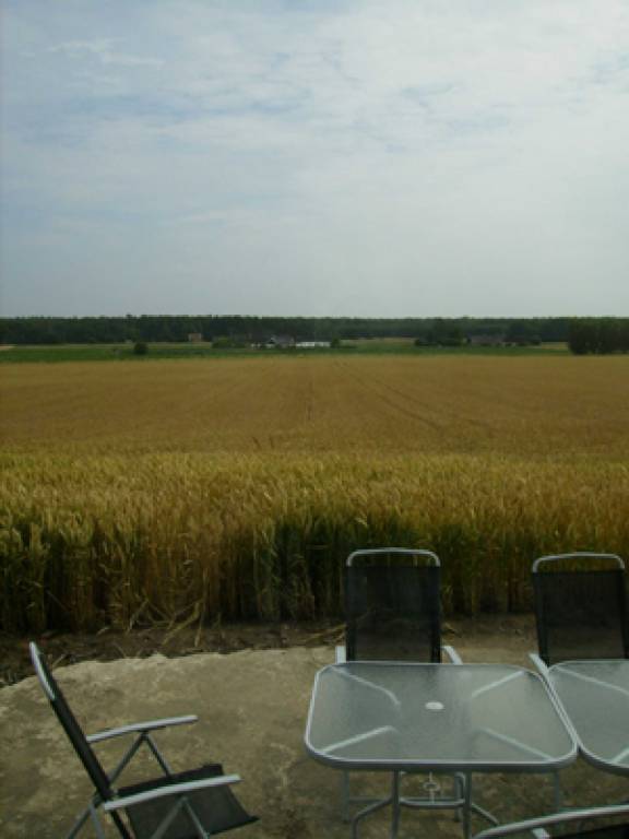 foto7
