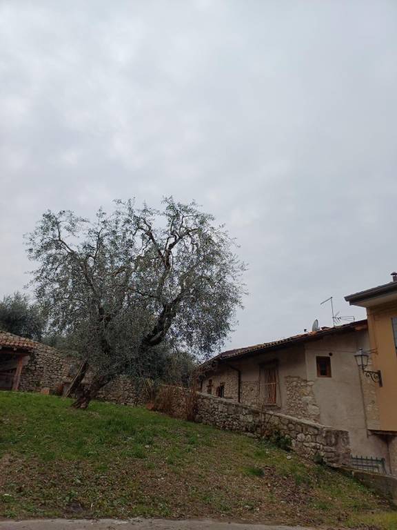 foto17
