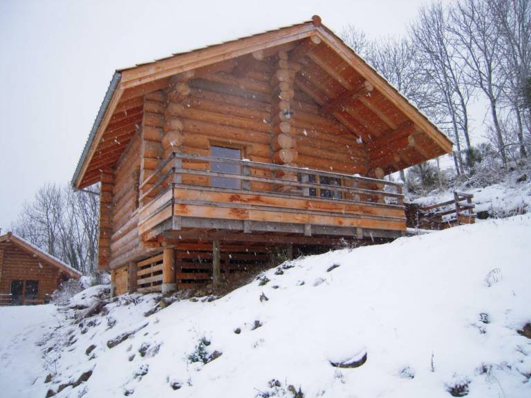 Rustic cabin with wood stove - 3 ppl, pets allowed in Roanne