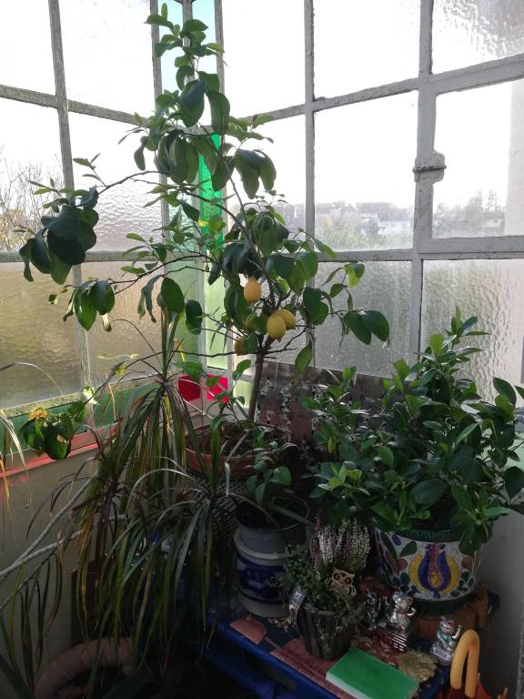 foto15