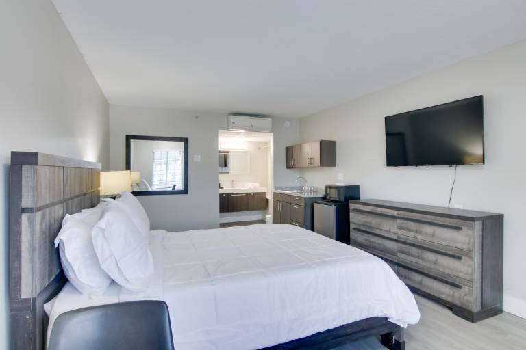 Near Hospitals & Dwtn: Stylish Charlotte Studio in Charlotte, NC
