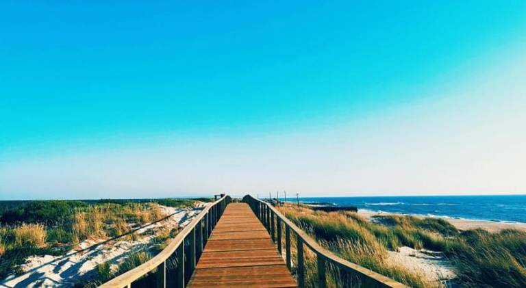 Holiday apartment | Beach nearby | Dogs allowed — photo 5
