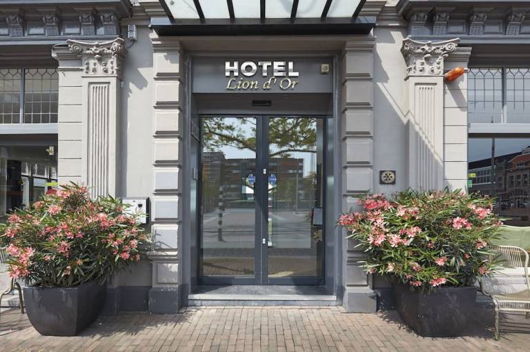 Hotel Lion d Or