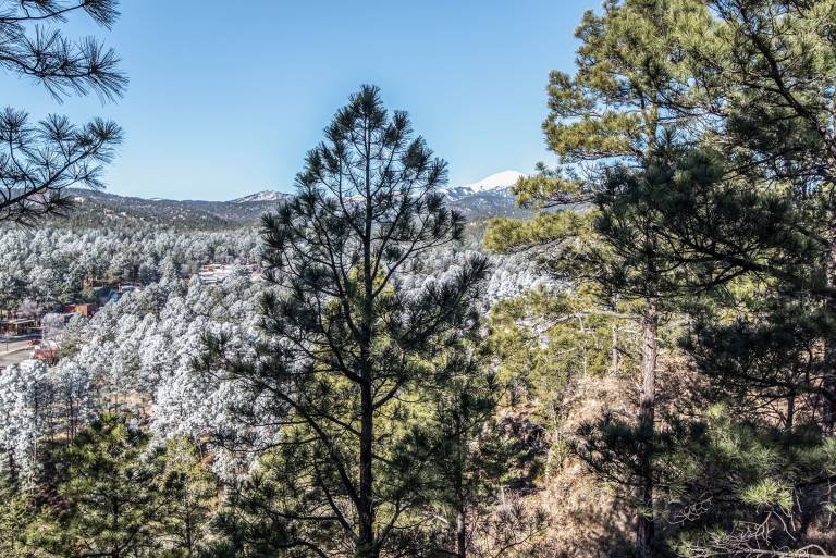 Condo Ruidoso